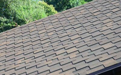 Give Your Atlanta Home The Best: Architectural Shingles, A Premium Choice from Piedmont Roofing